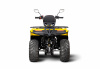 Квадроцикл IRBIS ATV 250 - желтый