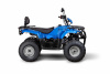 Квадроцикл IRBIS ATV200 - синий