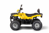 Квадроцикл IRBIS ATV200 - желтый
