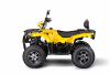 Квадроцикл IRBIS ATV200 LUX - желтый